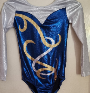 Metallic Silver with Blue Long Sleeve