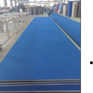 Tumbling Strip (Carpet Top)