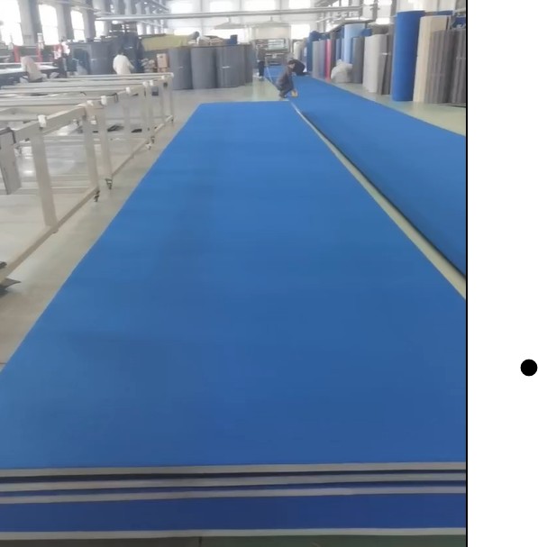 Tumbling Strip (Carpet Top)